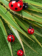 C'est le printemps !