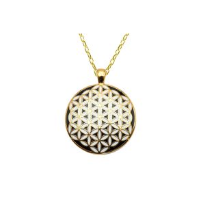 BISTEN326 - Collier acier PVD doré - email - 45+10cm - 